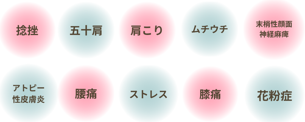 捻挫、五十肩、ムチウチ、アトピー性皮膚炎　、肩こり、腰痛、花粉症、ストレス、膝の痛み、末梢性顔面神経麻痺